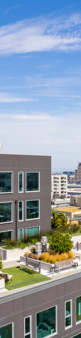 Rooftop garden with bushes and potted plants on a modern building, overlooking a cityscape under a clear blue sky.